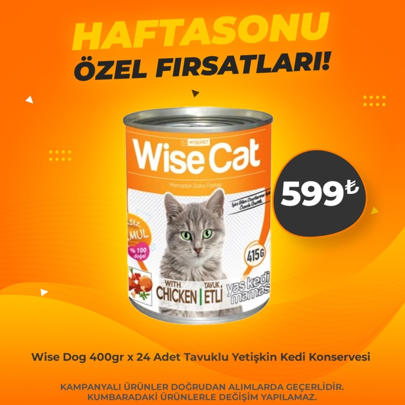 Wise Cat Kedi Konserve Çeşitleri 400 Gr x 24 Adet (Haftasonu Özel)