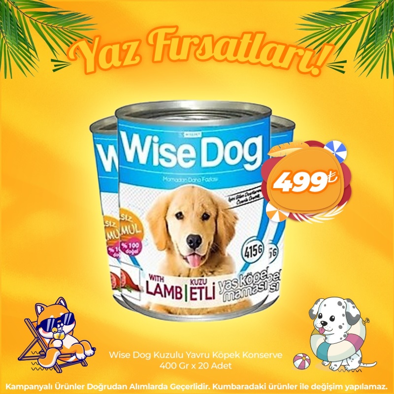 Wise Dog Kuzu Etli Yavru Köpek Konserve 400 Gr x 20 Adet (Yaz Fırsatları)