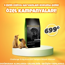 Challenge 15 Kg Kuzu Etli Yetişkin Köpek Maması
