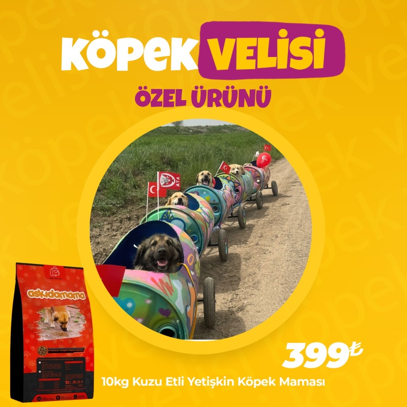 Köpek Velisi Özel 10Kg Köpek Maması