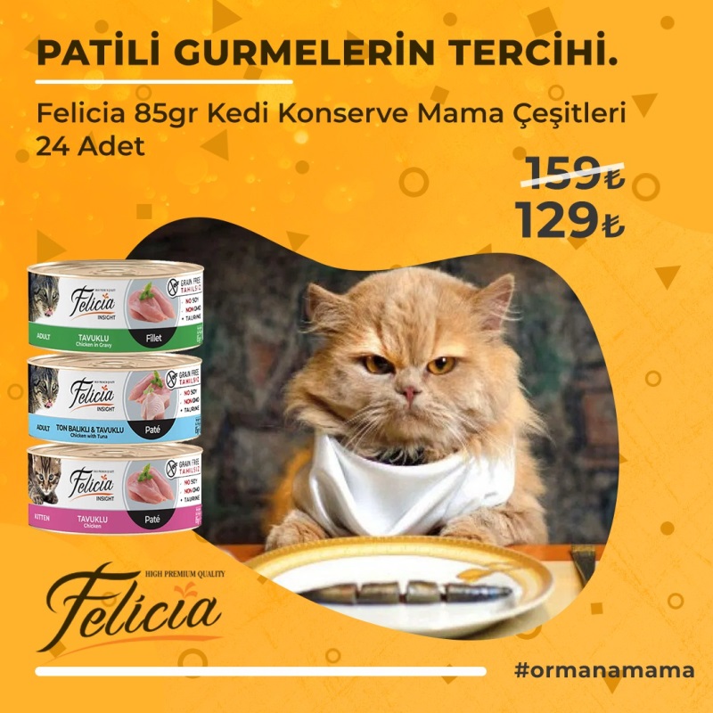 Felicia 85 gr Kedi Konserve Mama Çeşitleri (Özel Fiyat)