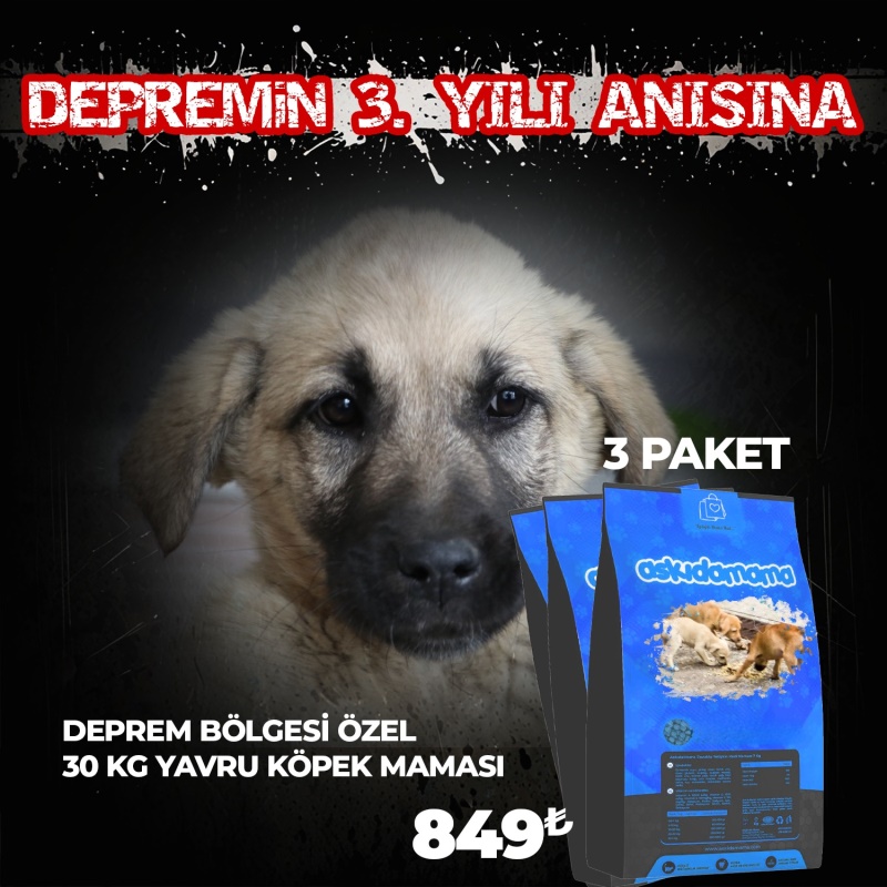 Depremin 3. Yılı Anısı Özel 30 Kg Yavru Köpek Maması (3 Paket)