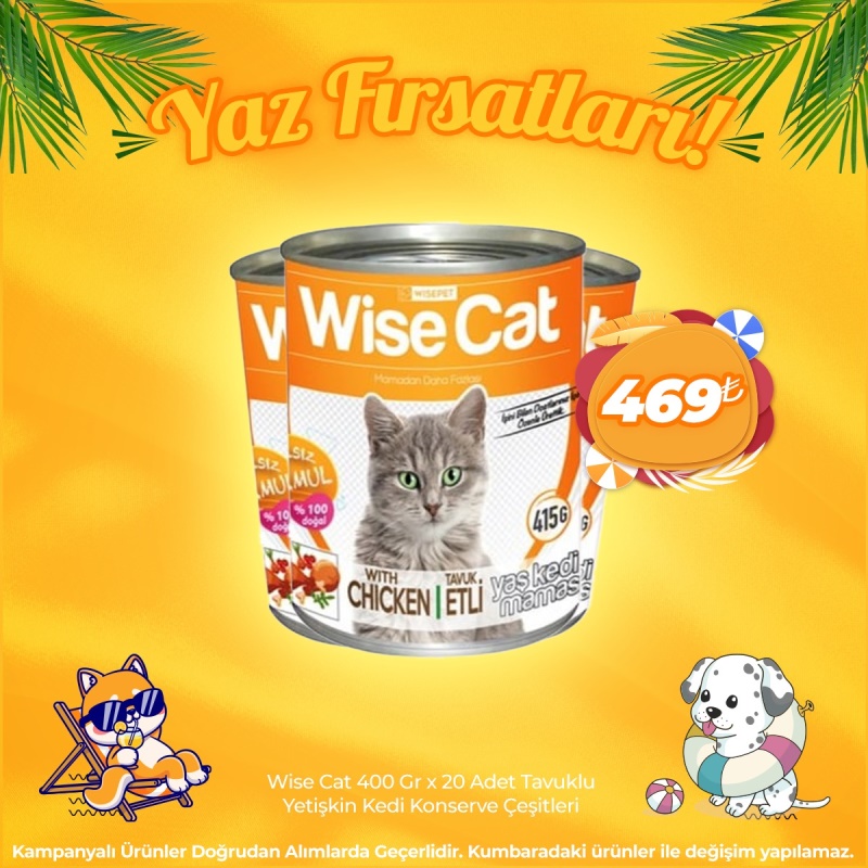 Wise Cat Kedi Konserve Çeşitleri 400 Gr x 20 Adet (Yaz Fırsatları)