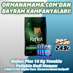 Reflex Plus Tavuklu Yetişkin Kedi Maması 15 Kg  4 Adet 415 Gr Miglior Gatto Konserve Hediye