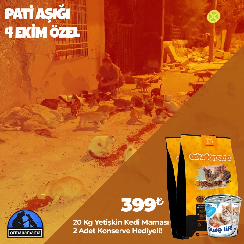 Pati Aşığı 4 Ekim Özel