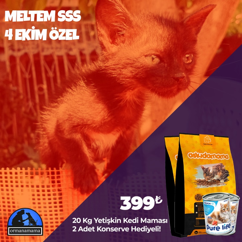 Meltem SSS 4 Ekim Özel