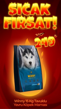 Winny Premium Puppy 15 Kg Yavru Köpek Maması (Direkt Alım)