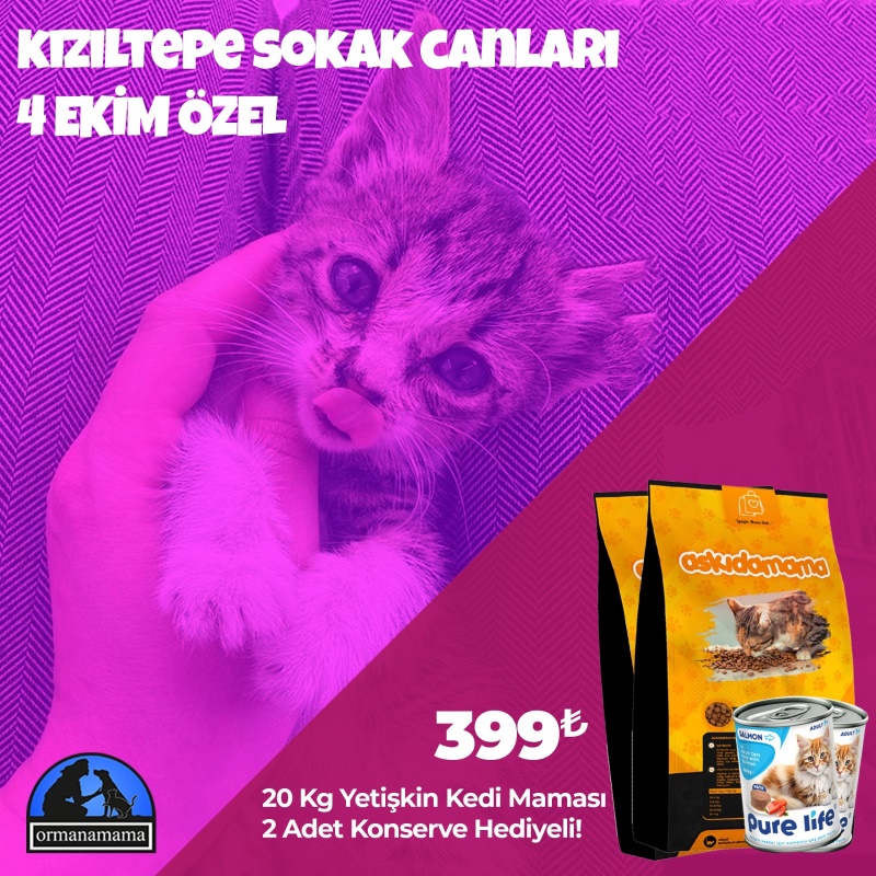 Kızıltepe Sokak Canları 4 Ekim Özel