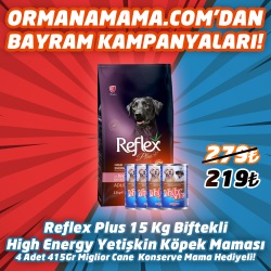 Reflex Plus Biftekli High Energy Yetişkin Köpek Maması 15 Kg   4 Adet 415 Gr Miglior Cane Konserve Hediye