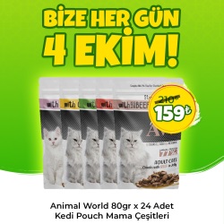 Animal World 100 gr x 24 Adet Kedi Pouch Mama Çeşitleri
