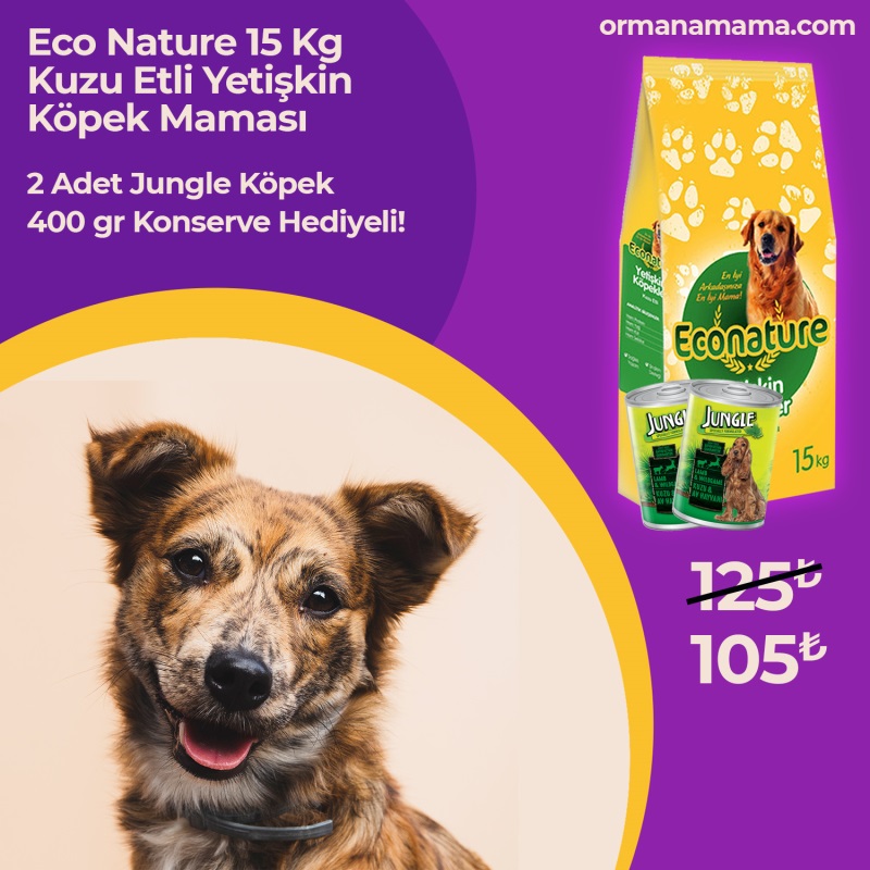 Eco Nature Kuzu Etli 15 Kg Yetişkin Köpek Maması 2 Adet Jungle 400 Gr Konserve Hediyeli