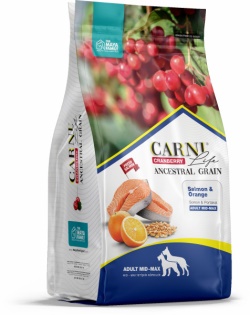 Carni Life Kızılcık Somon Etli ve Portakallı Medium - Maxi Yetişkin Köpek Maması 12 kg