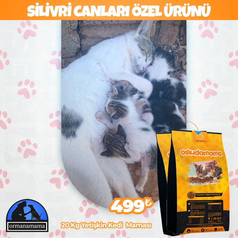 Silivri Canları Özel Ürünü