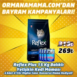 Reflex Plus Somonlu Yetişkin Kedi Maması 15 Kg  4 Adet 415 Gr Miglior Gatto Konserve Hediye