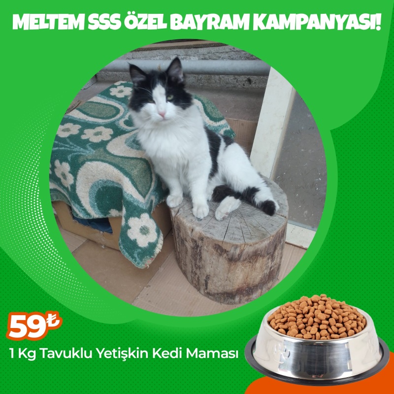 Meltem SSS Bayram Özel