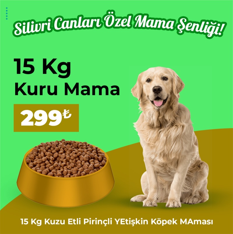 Silivri Canları Özel Mama Şenliği