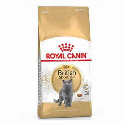 Royal Canin British Shorthair Adult Yetişkin Kedi Maması 4 Kg