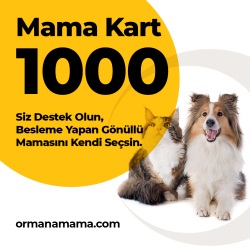 Mama Hediye Kartı 1000