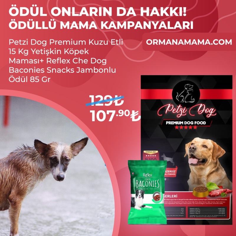 Petzi Dog Premium Kuzu Etli 15 Kg Yetişkin Köpek Maması+ Reflex Che Dog