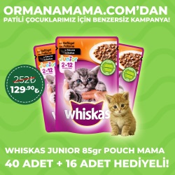 Whiskas Junior Pouch Mama 85 gr x 40 Adet + 16 Adet Hediyeli!